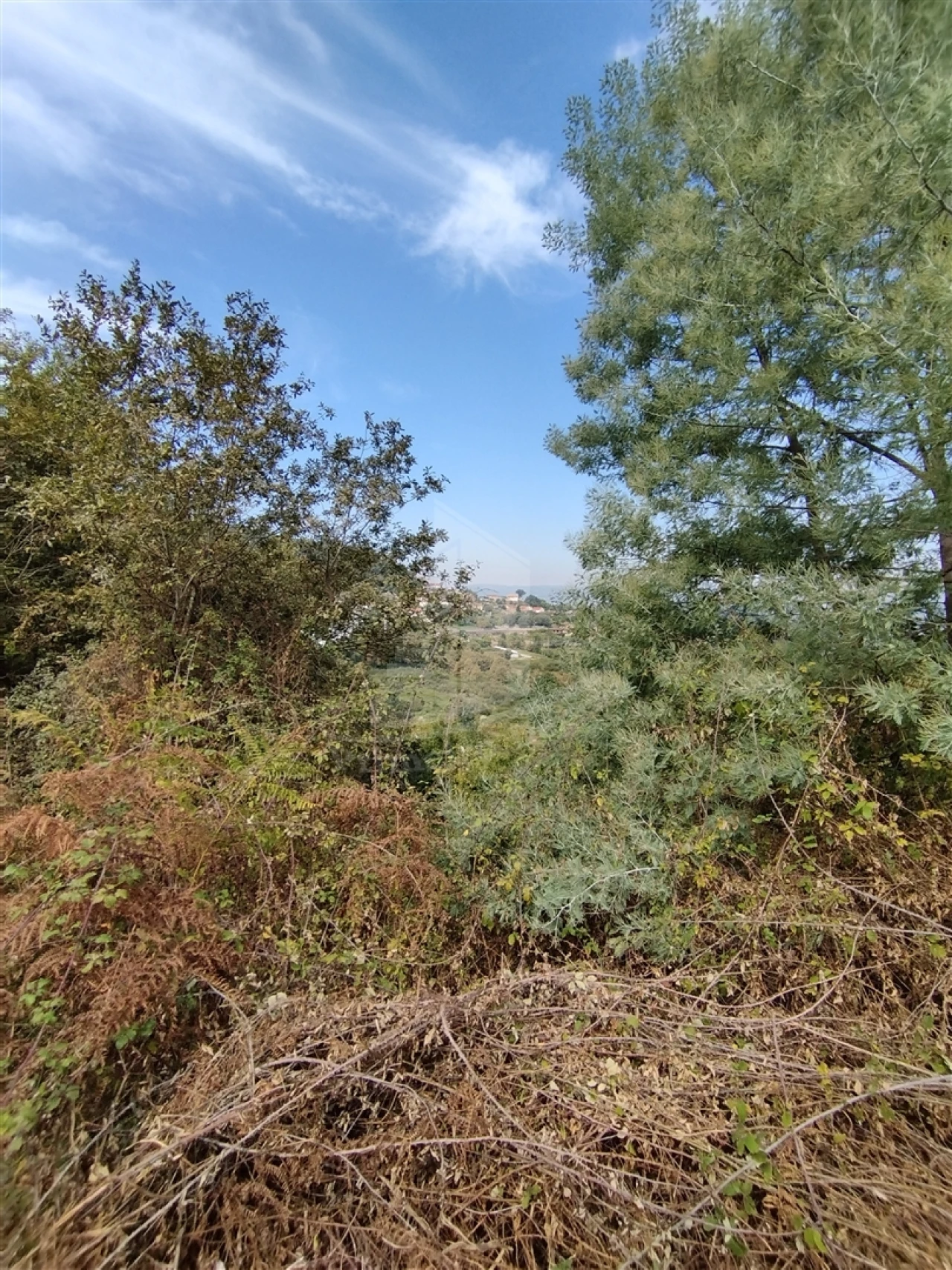 Terreno para Venda em Santa Lucrécia de Algeriz e Navarra Foto 7