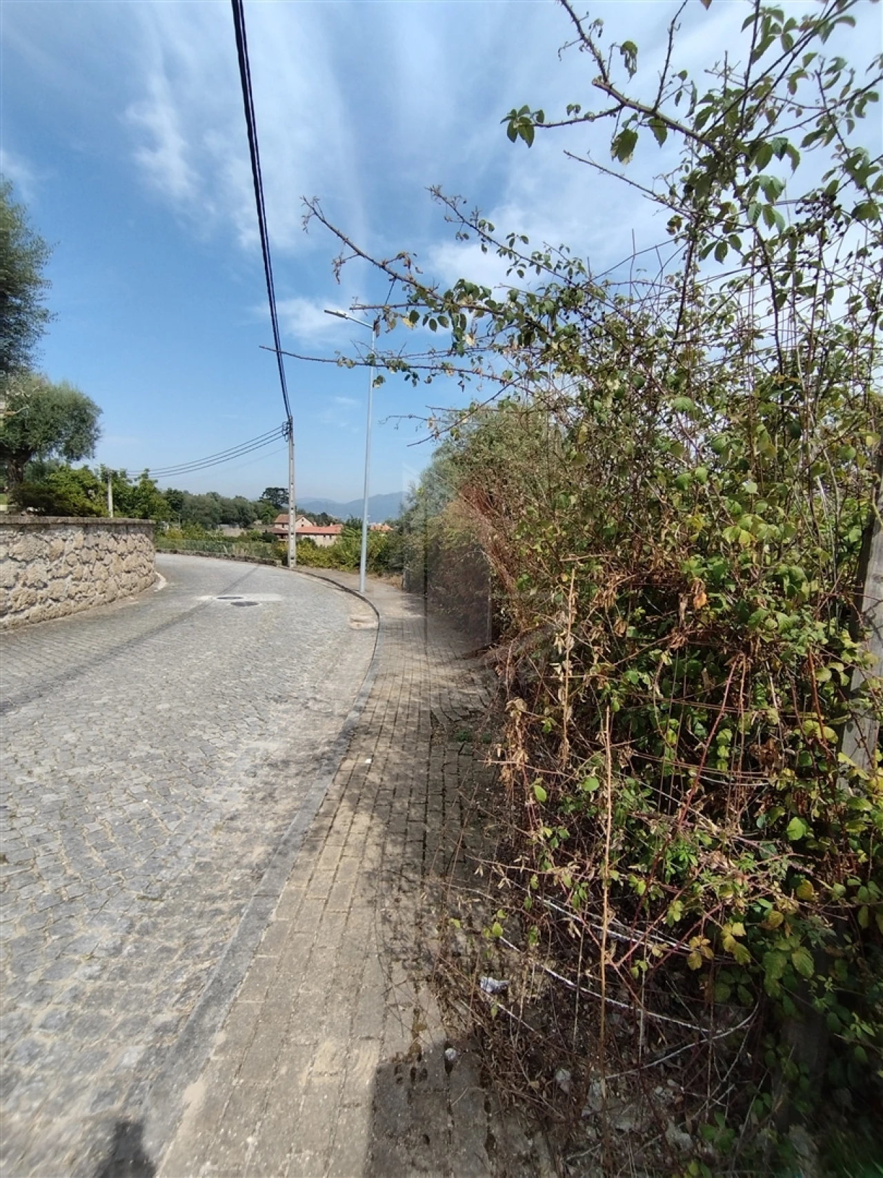Terreno para Venda em Santa Lucrécia de Algeriz e Navarra Foto 6