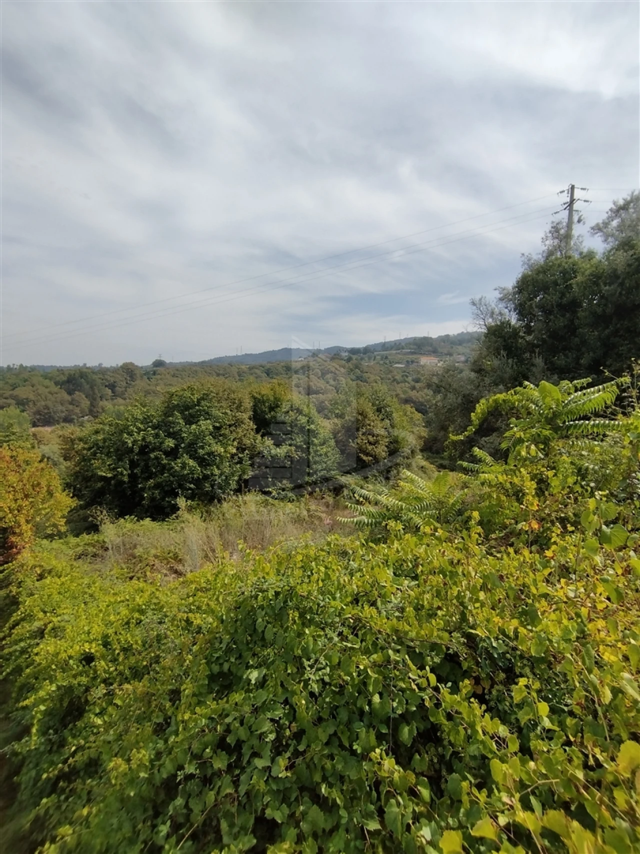 Terreno para Venda em Santa Lucrécia de Algeriz e Navarra Foto 8