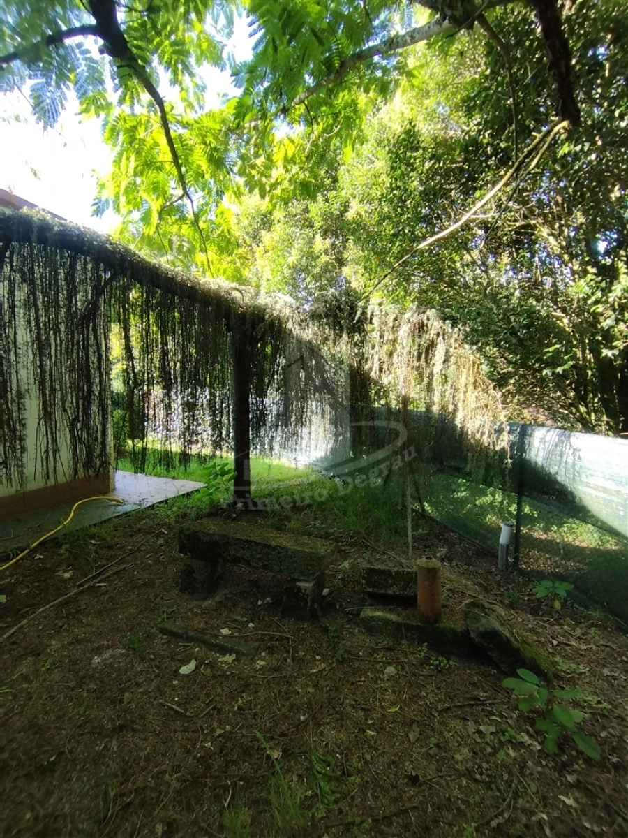 Moradia T6 para Venda em Pico Foto 42