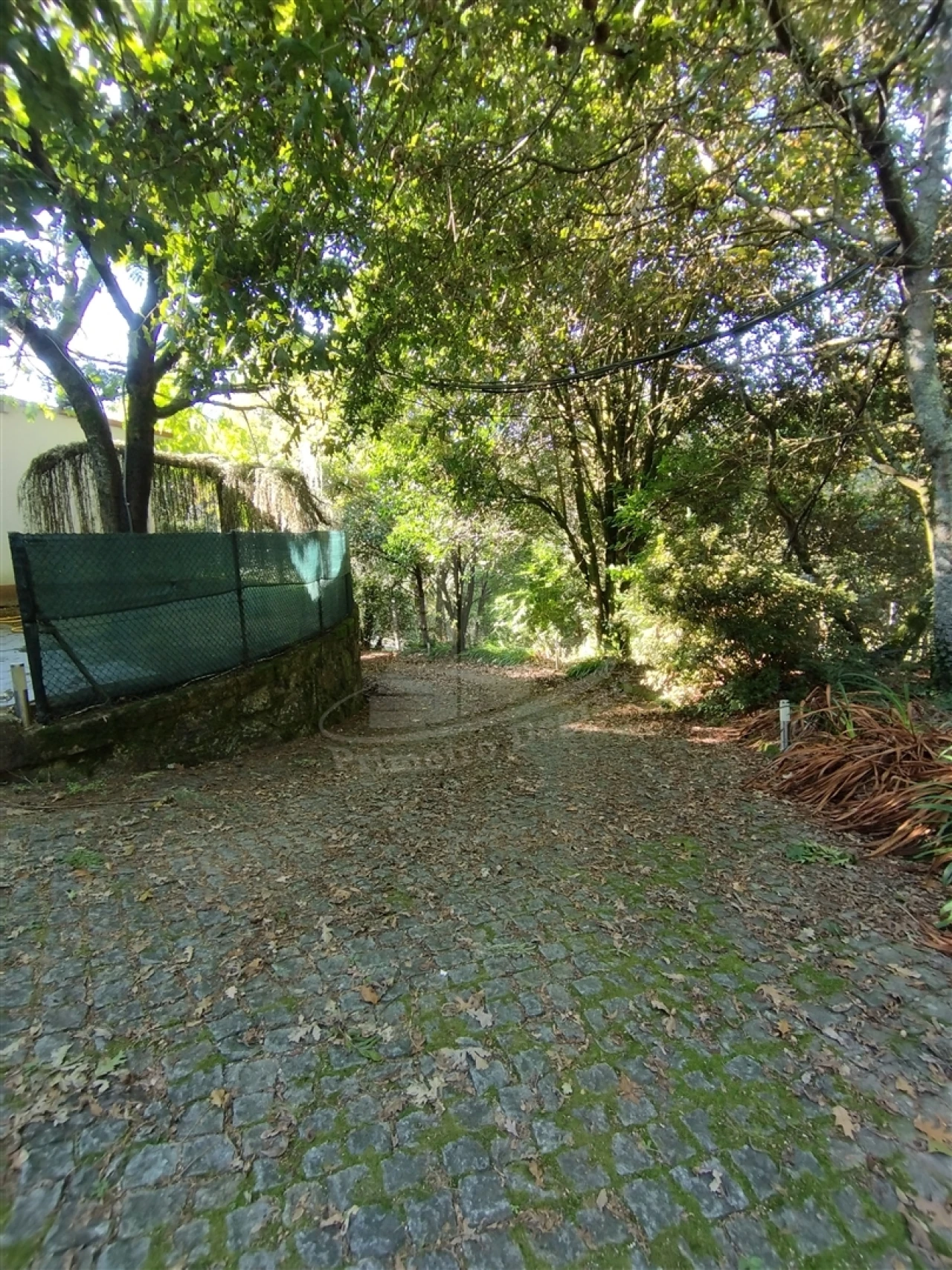 Moradia T6 para Venda em Pico Foto 41