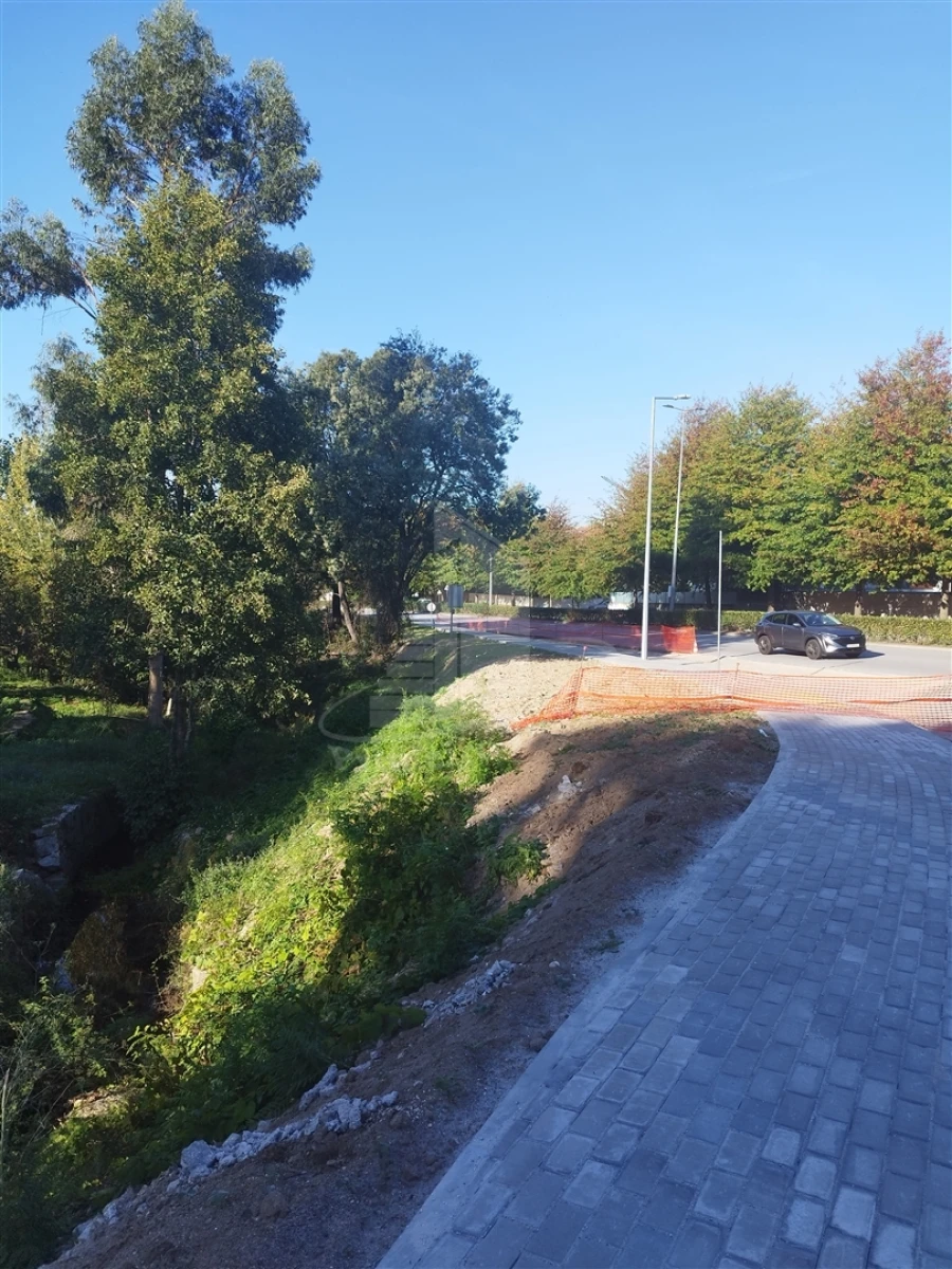 Loja para Venda em Este (São Pedro e São Mamede) Foto 11