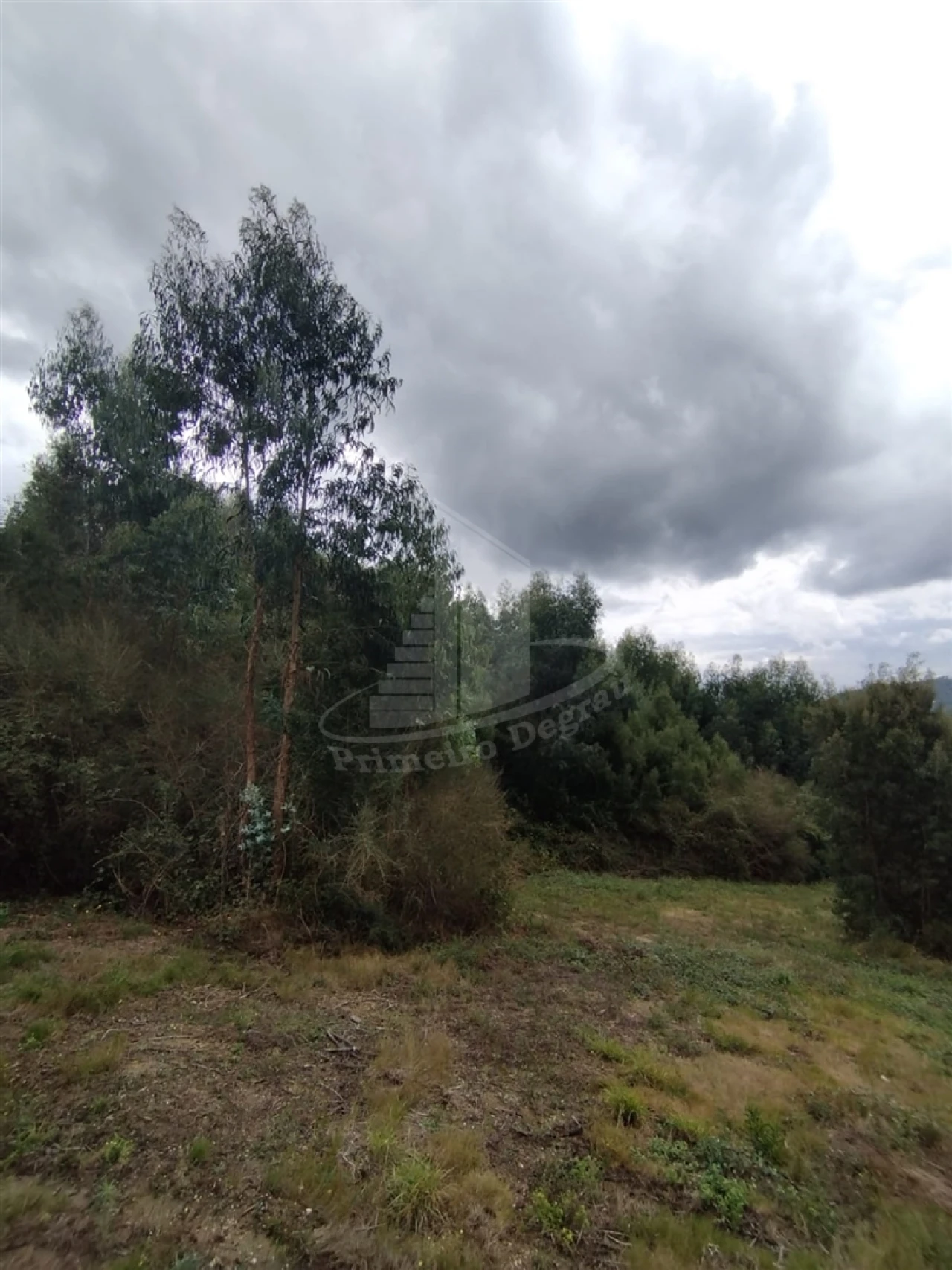 Terreno para Venda em Ribeira do Neiva Foto 9
