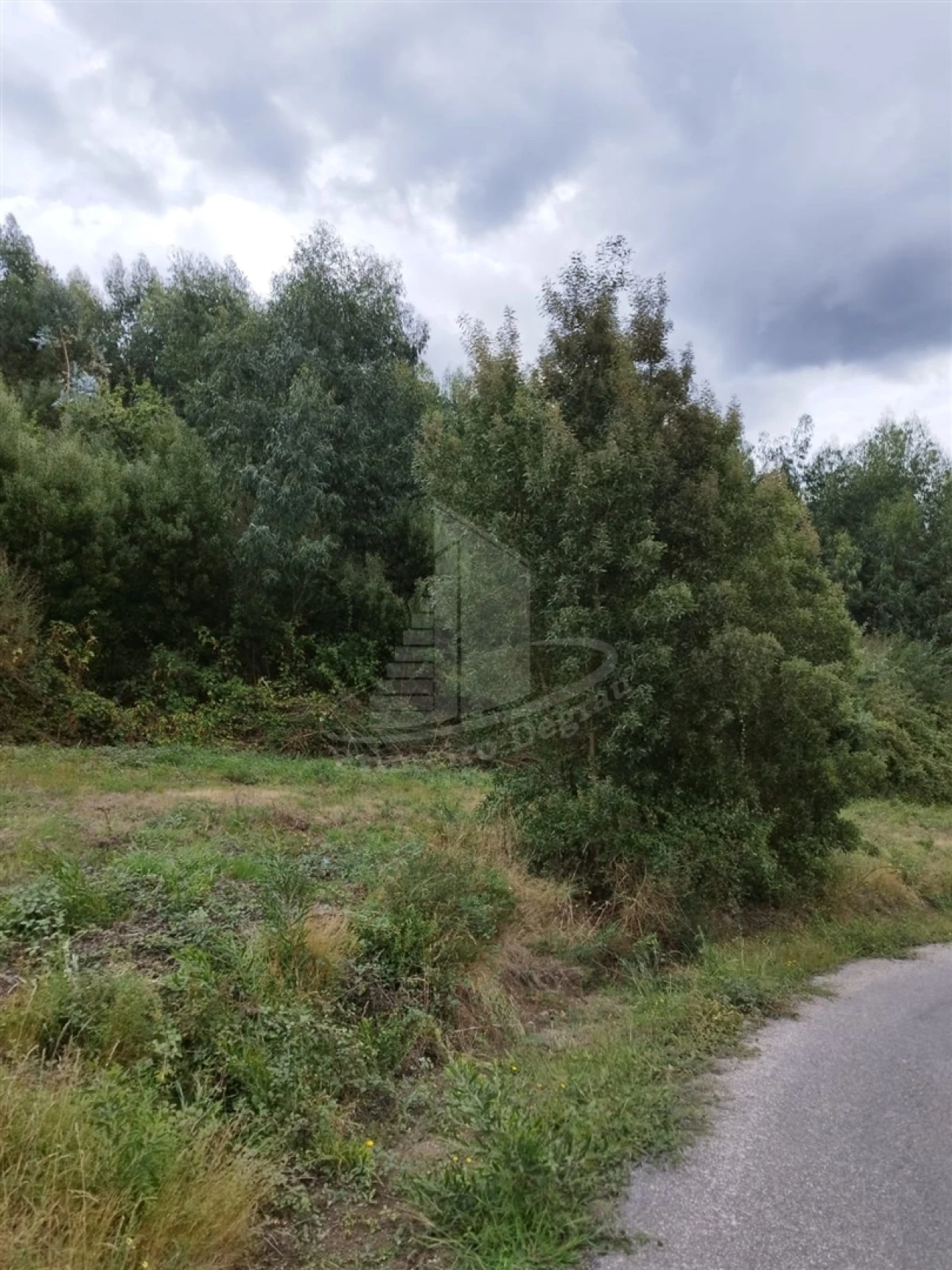Terreno para Venda em Ribeira do Neiva Foto 15