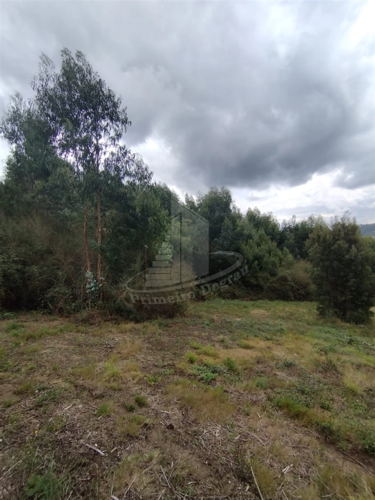 Terreno para Venda em Ribeira do Neiva Foto 10