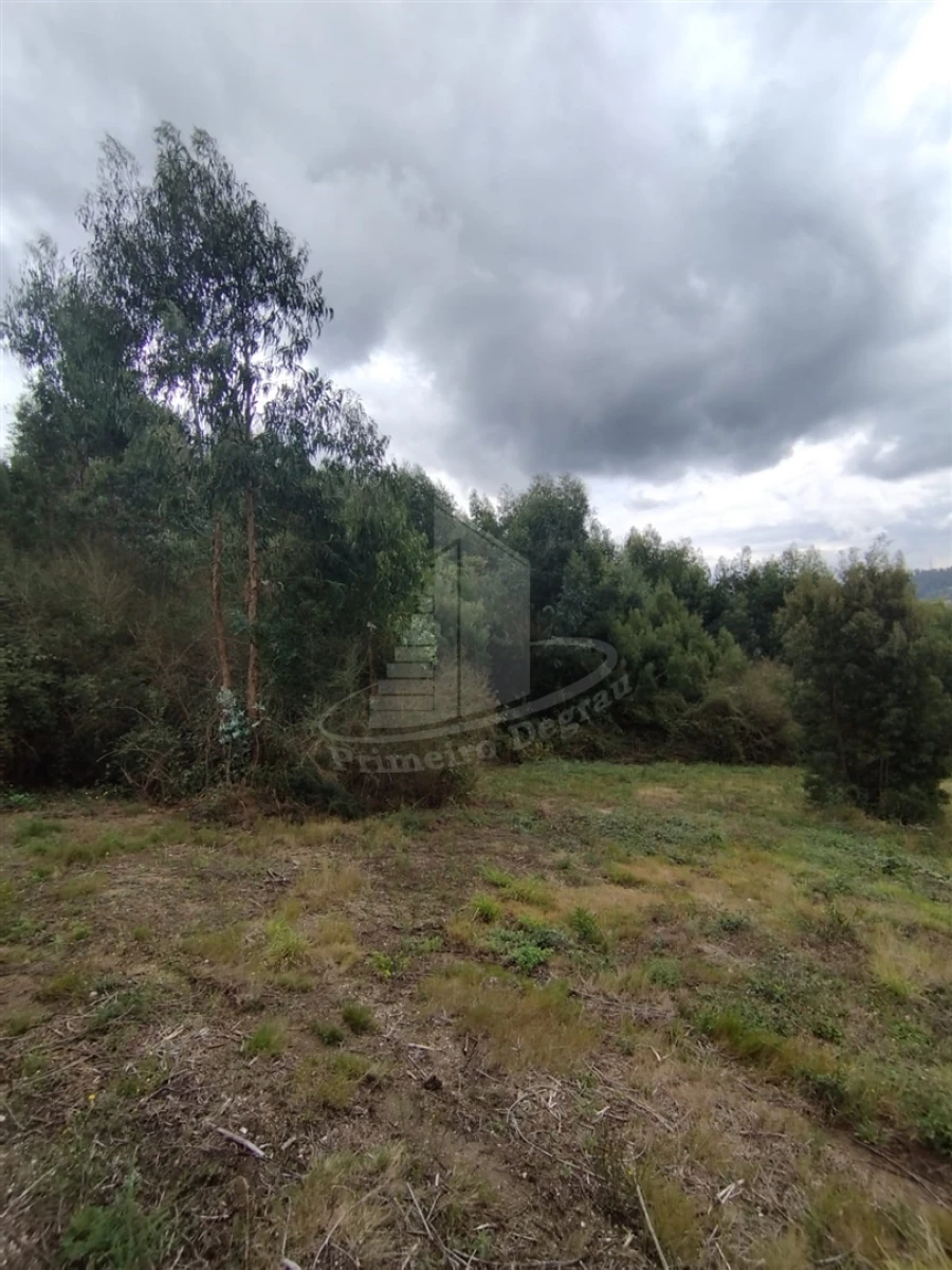 Terreno para Venda em Ribeira do Neiva Foto 10