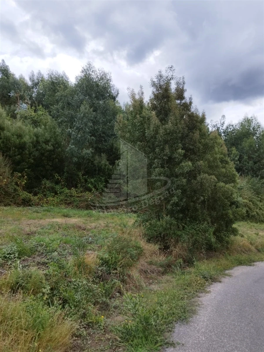 Terreno para Venda em Ribeira do Neiva Foto 15
