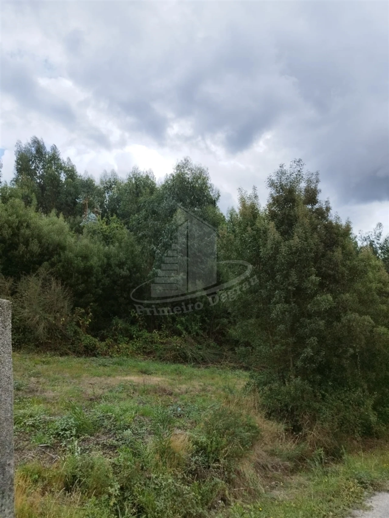 Terreno para Venda em Ribeira do Neiva Foto 13