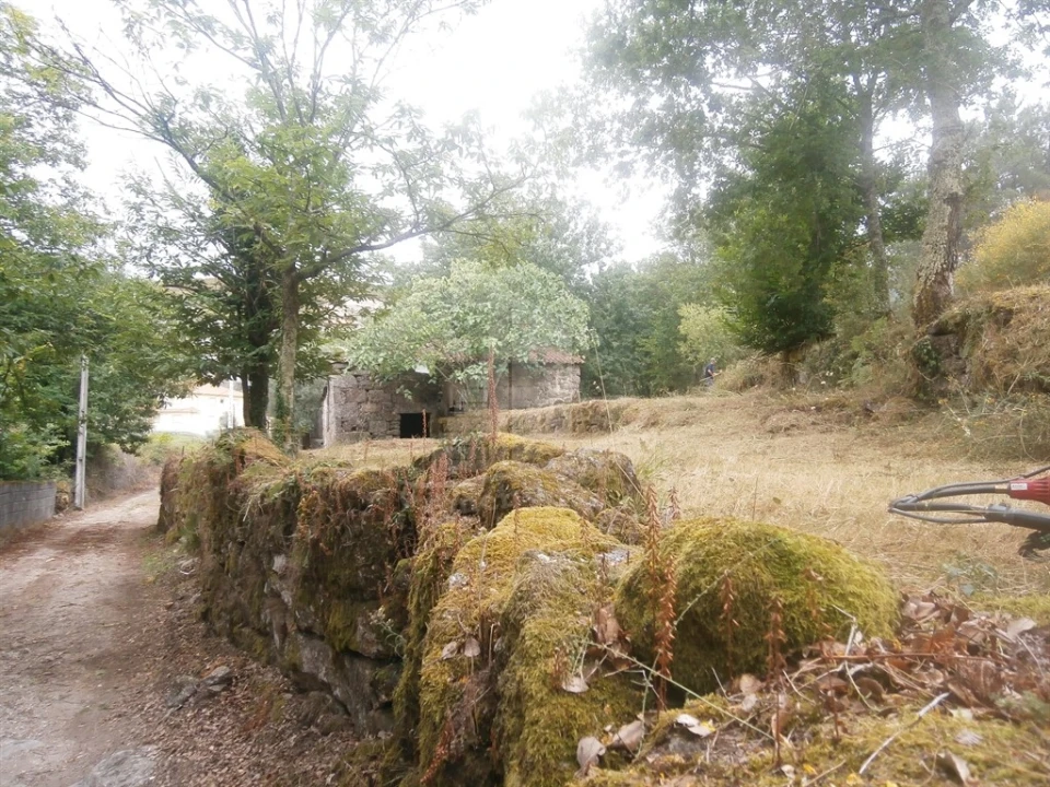 Quinta T0 para Venda em Verim, Friande e Ajude Foto 14