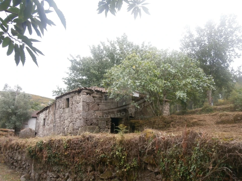 Quinta T0 para Venda em Verim, Friande e Ajude Foto 5
