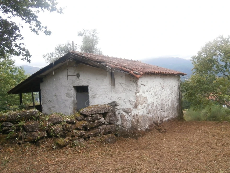 Quinta T0 para Venda em Verim, Friande e Ajude Foto 2