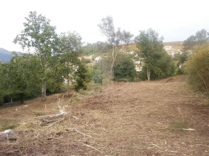 Quinta T0 para Venda em Verim, Friande e Ajude Foto 18
