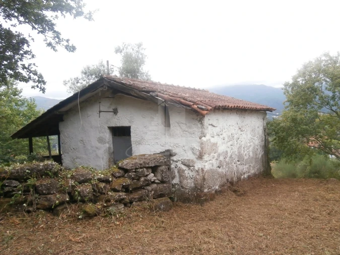 Quinta T0 para Venda em Verim, Friande e Ajude Foto 2