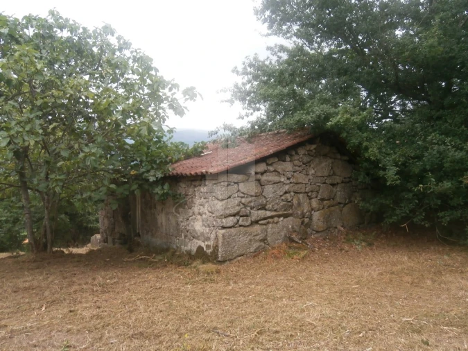 Quinta T0 para Venda em Verim, Friande e Ajude Foto 6