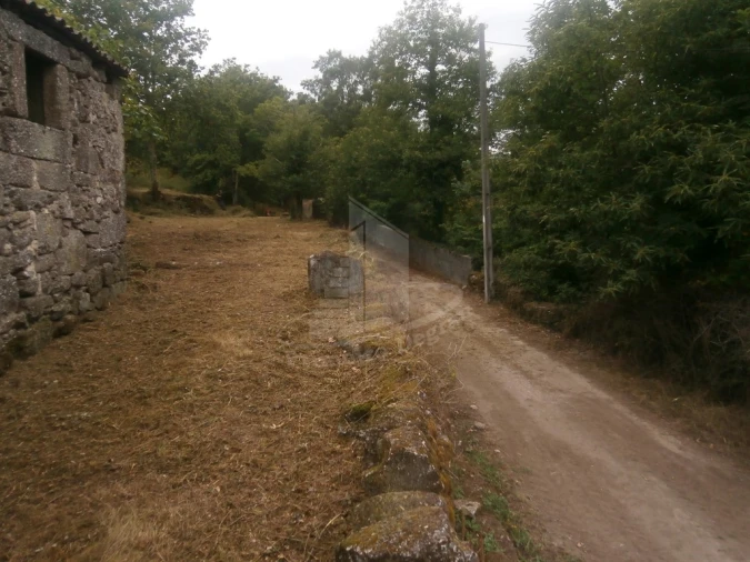 Quinta T0 para Venda em Verim, Friande e Ajude Foto 4