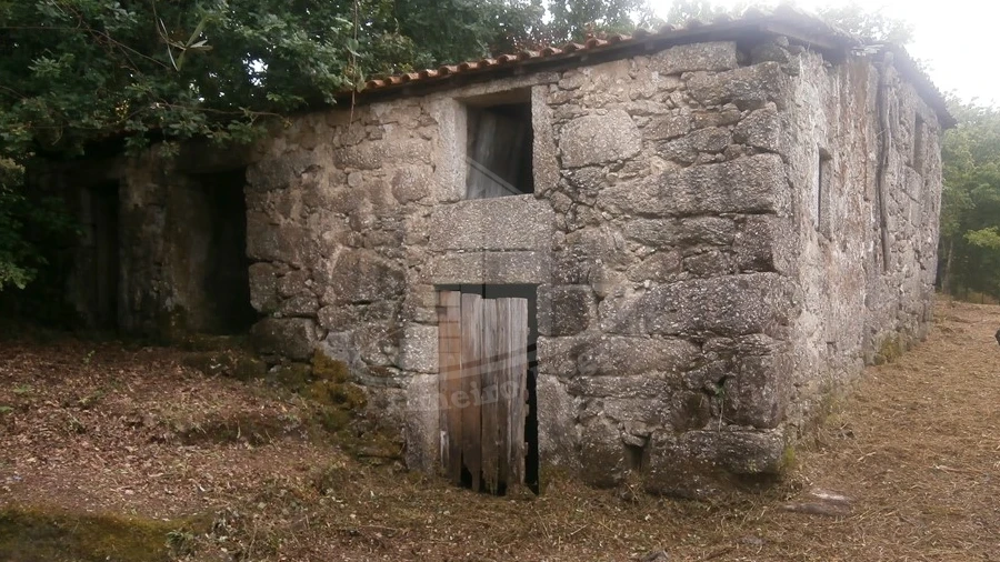 Quinta T0 para Venda em Verim, Friande e Ajude