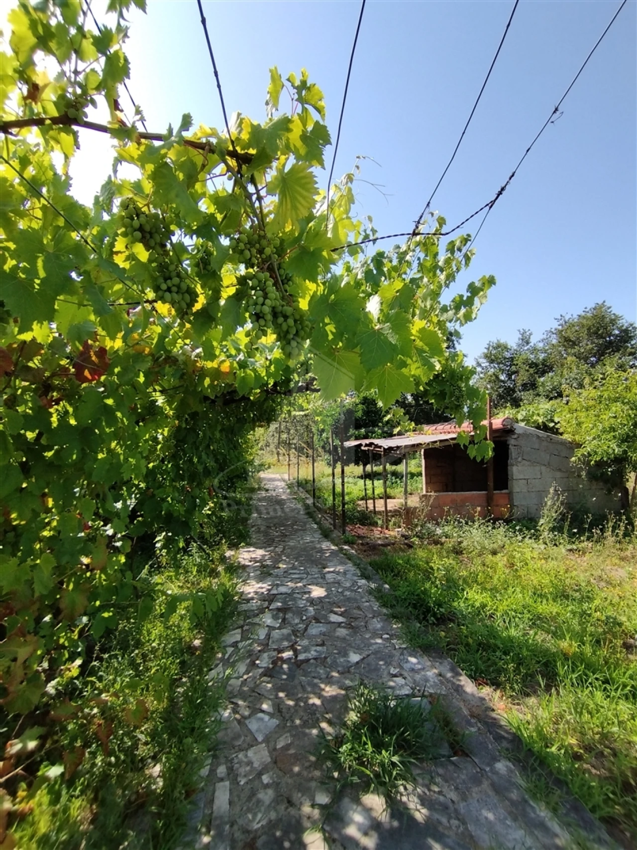 Moradia T4 para Venda em Lago Foto 13