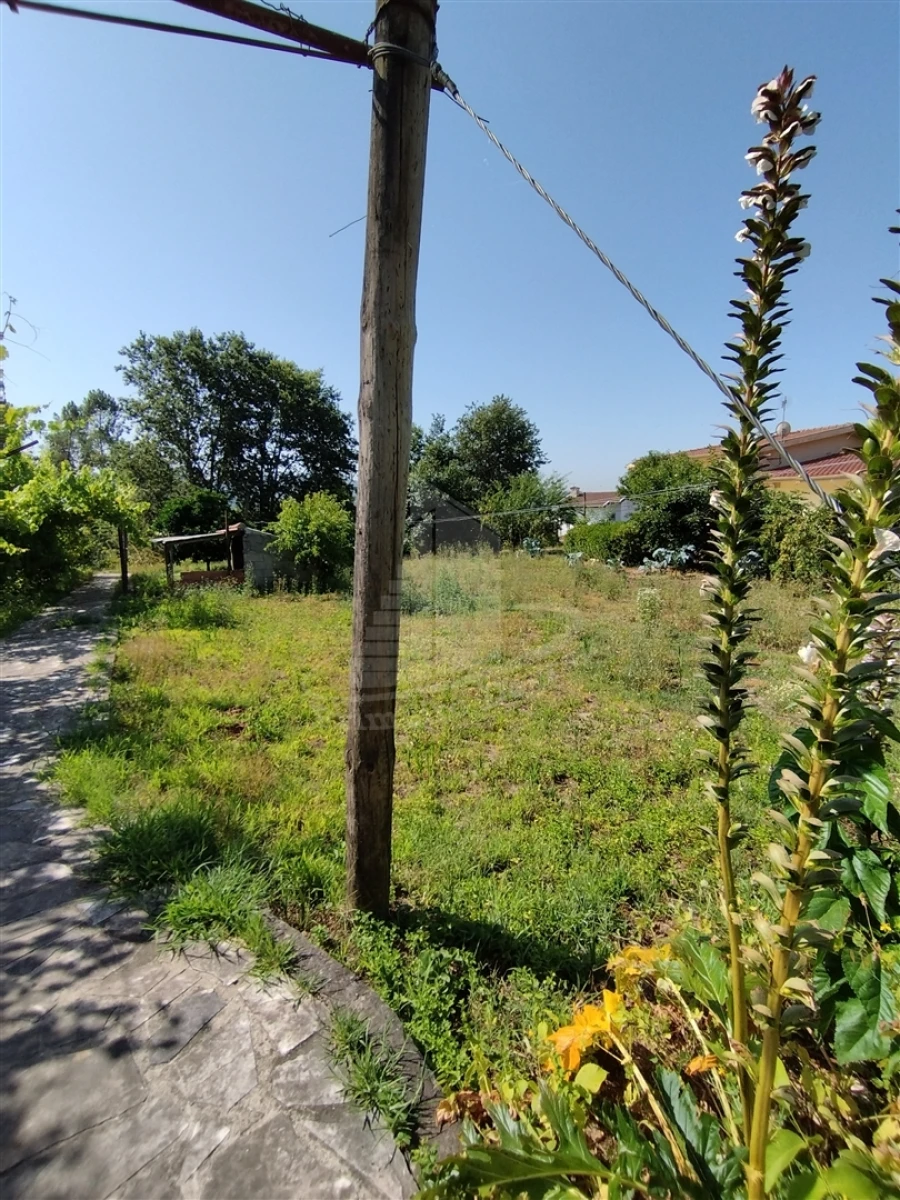 Moradia T4 para Venda em Lago Foto 14