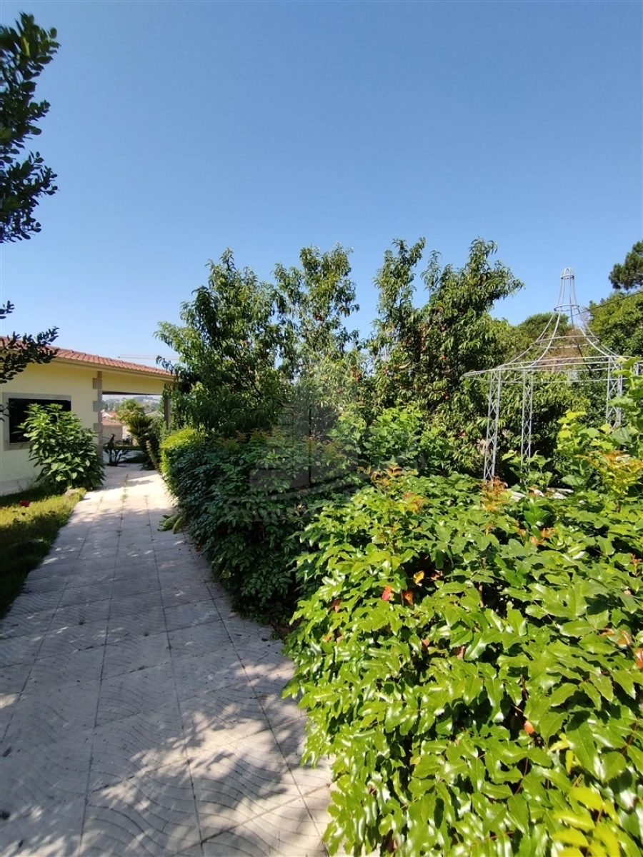 Moradia T4 para Venda em Lago Foto 22