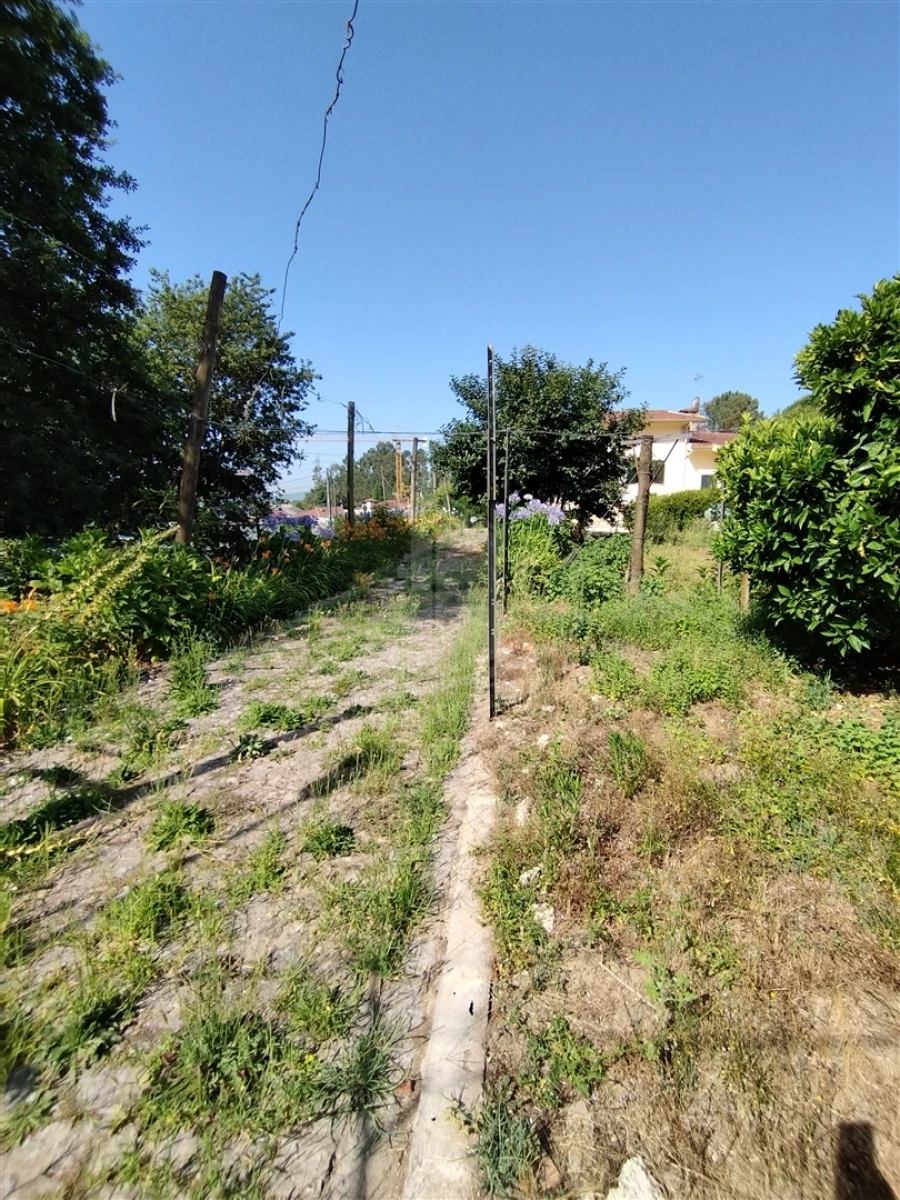 Moradia T4 para Venda em Lago Foto 12