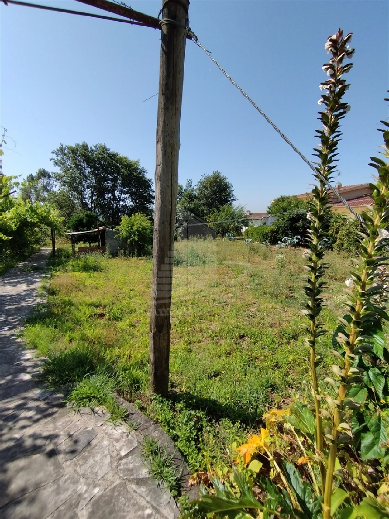 Moradia T4 para Venda em Lago Foto 14