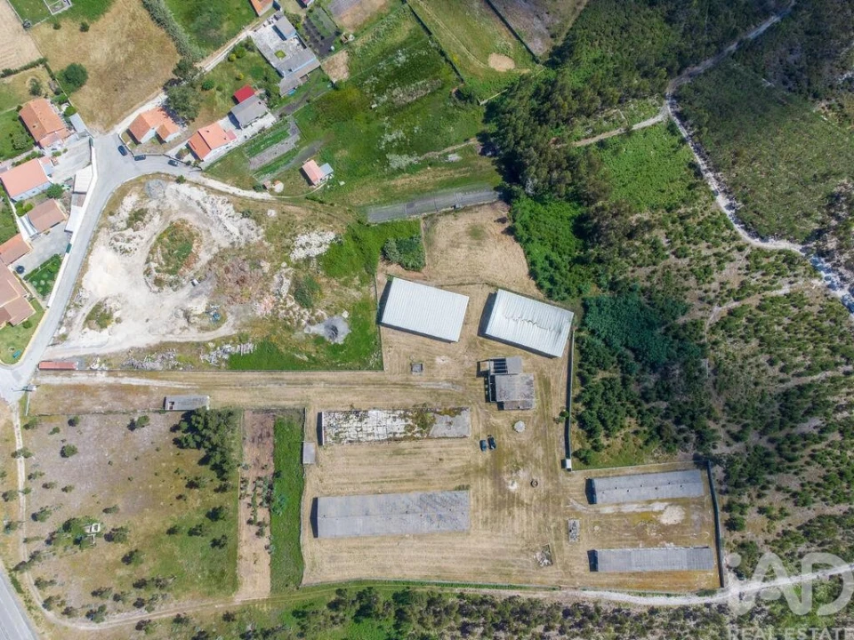 Terreno para Venda em Vieira de Leiria Foto 1