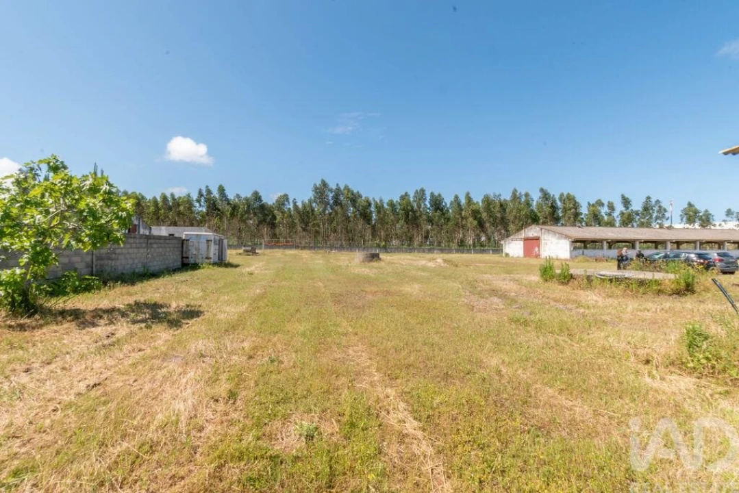Terreno para Venda em Vieira de Leiria Foto 6