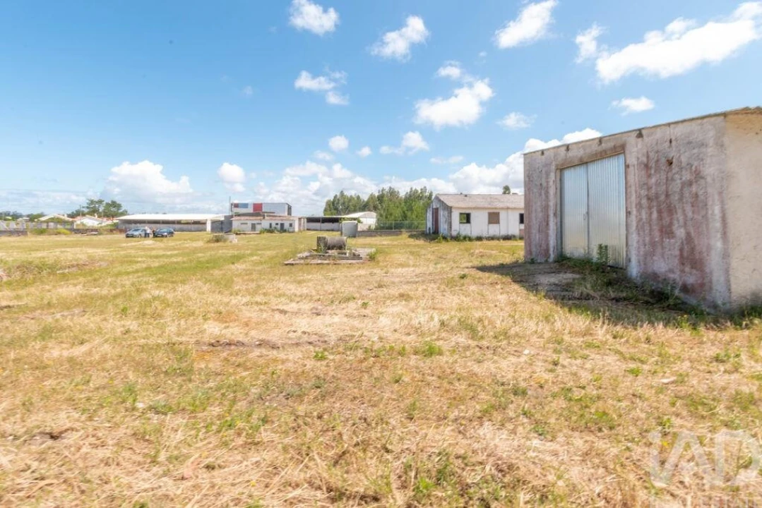 Terreno para Venda em Vieira de Leiria Foto 7