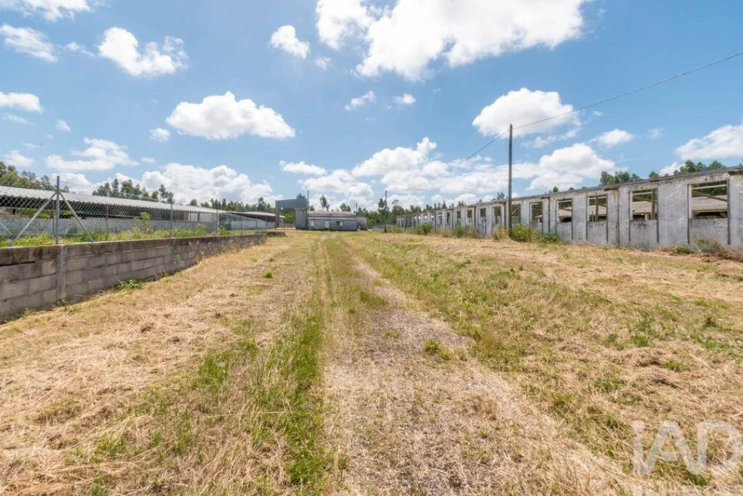 Terreno para Venda em Vieira de Leiria Foto 3
