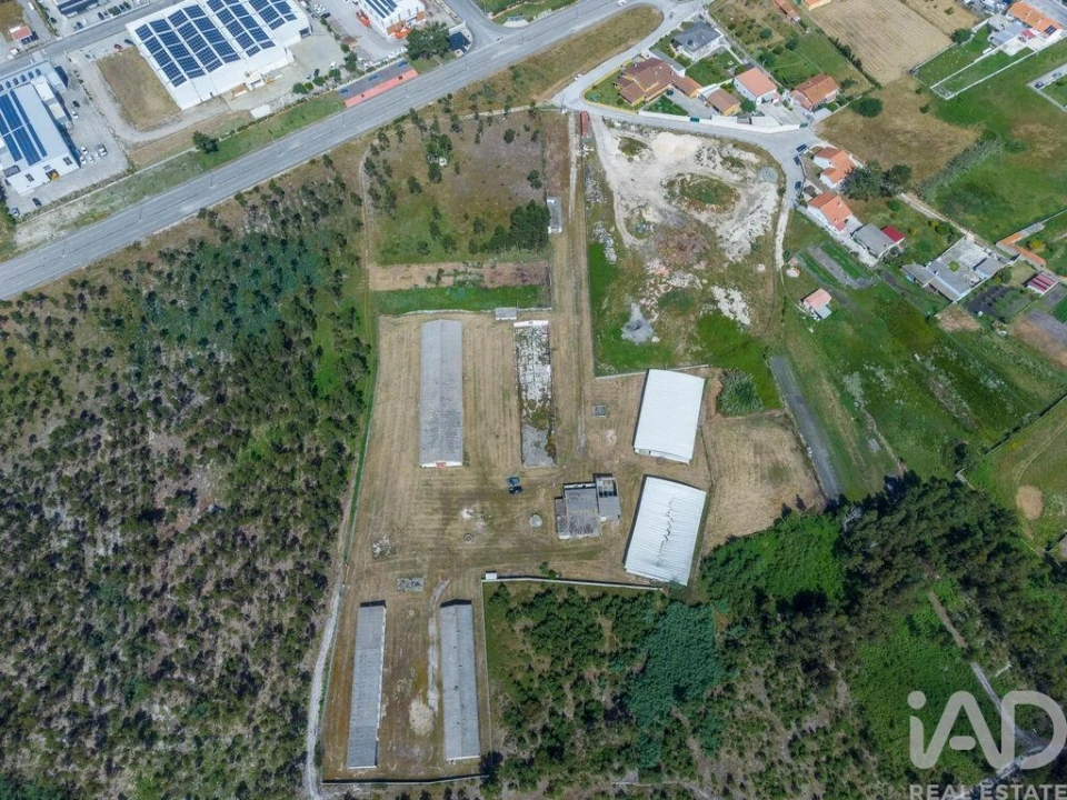 Terreno para Venda em Vieira de Leiria Foto 2