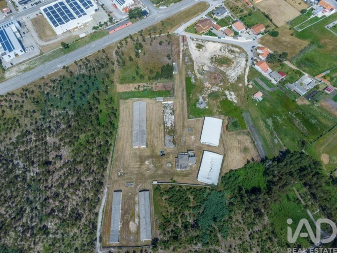 Terreno para Venda em Vieira de Leiria Foto 2