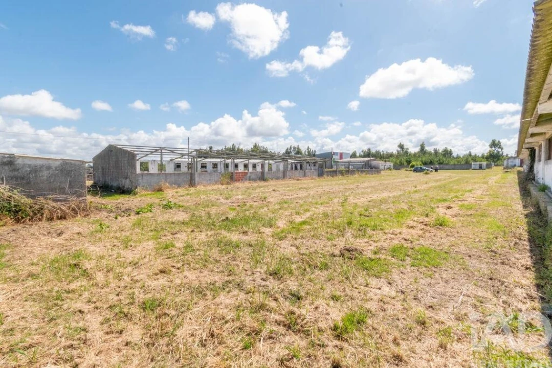 Terreno para Venda em Vieira de Leiria Foto 4