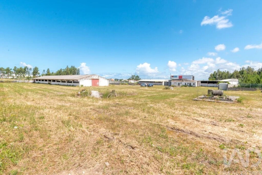 Terreno para Venda em Vieira de Leiria Foto 5