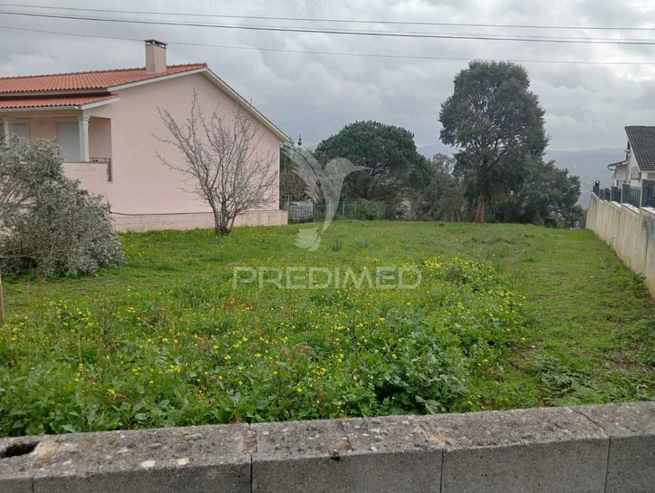 Terreno para Venda em Arrimal e Mendiga Foto 3