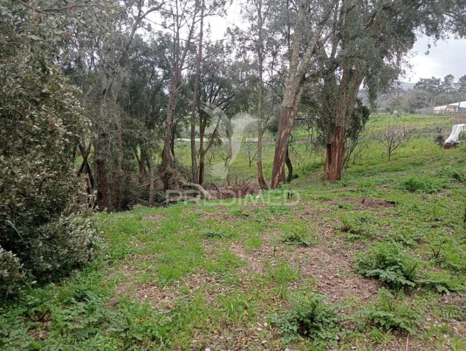 Terreno para Venda em Arrimal e Mendiga Foto 7