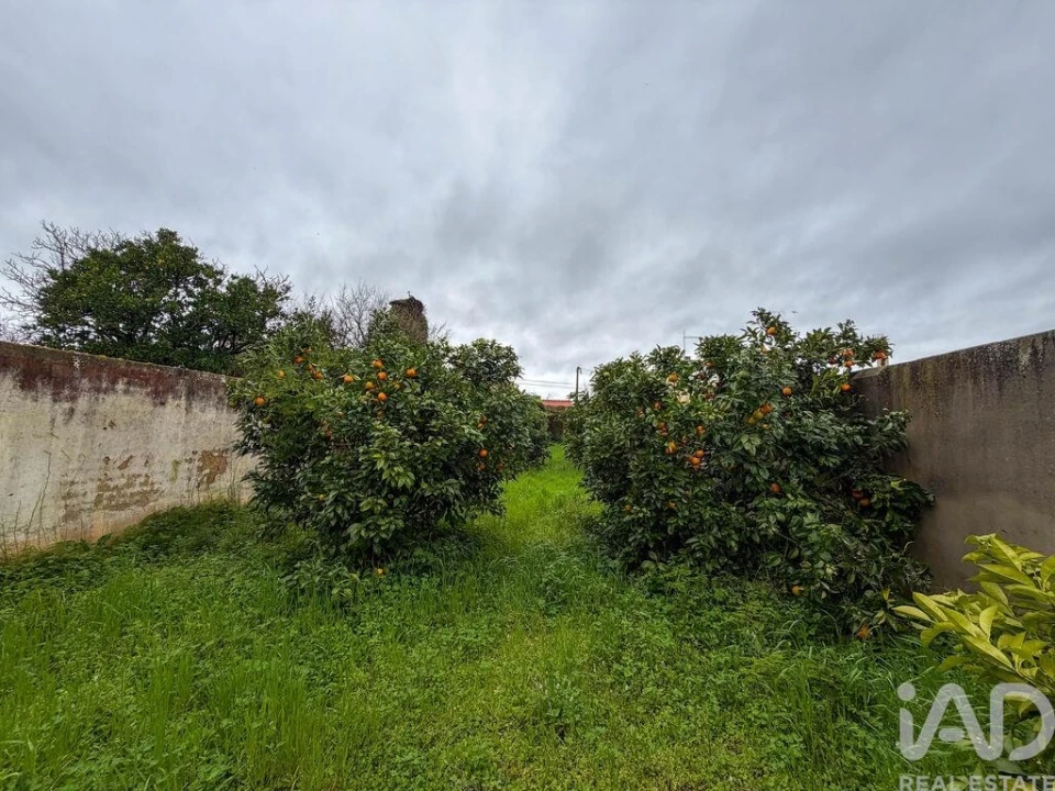 Moradia para Venda em Benfica do Ribatejo Foto 7