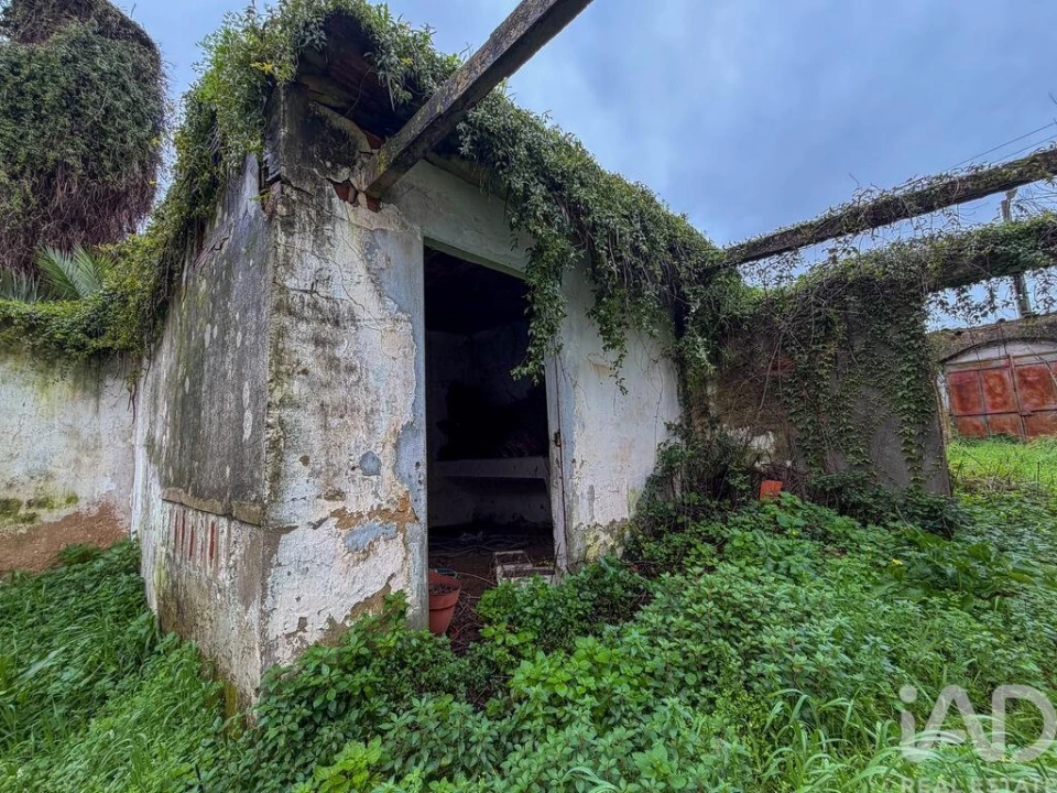 Moradia para Venda em Benfica do Ribatejo Foto 18