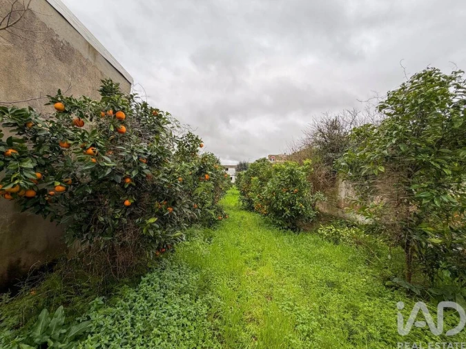 Moradia para Venda em Benfica do Ribatejo Foto 21