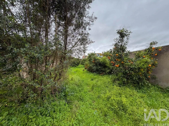 Moradia para Venda em Benfica do Ribatejo Foto 6