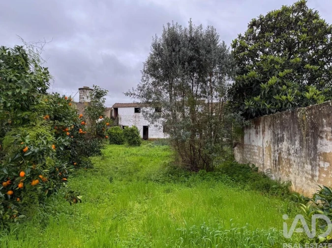 Moradia para Venda em Benfica do Ribatejo Foto 3