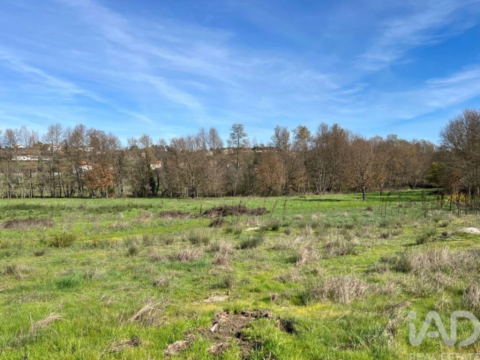 Quinta T2 para Venda em Quintela de Azurara Foto 24