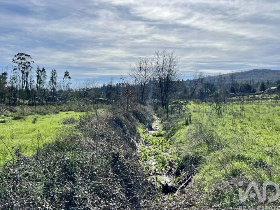 Quinta T2 para Venda em Quintela de Azurara Foto 31