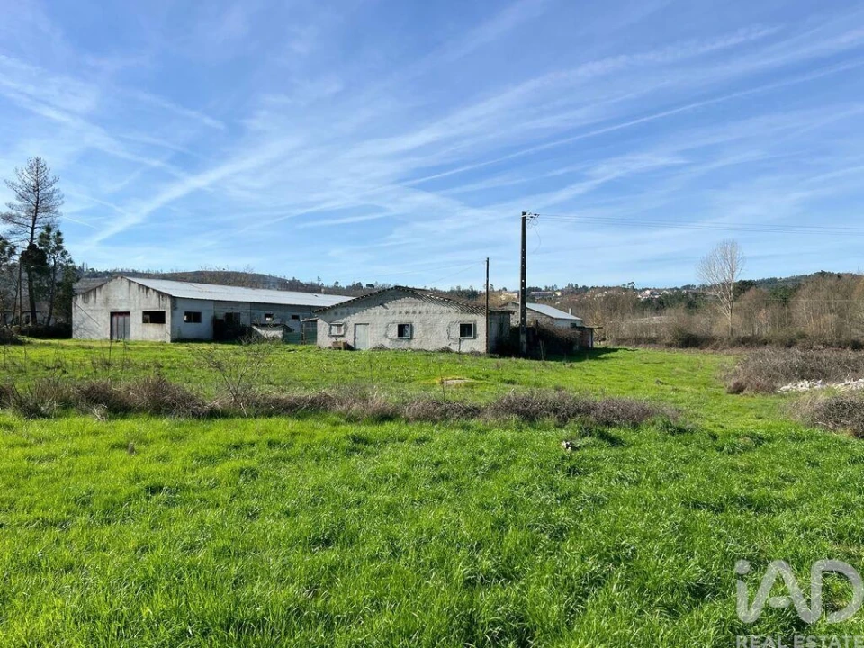 Quinta T2 para Venda em Quintela de Azurara Foto 23