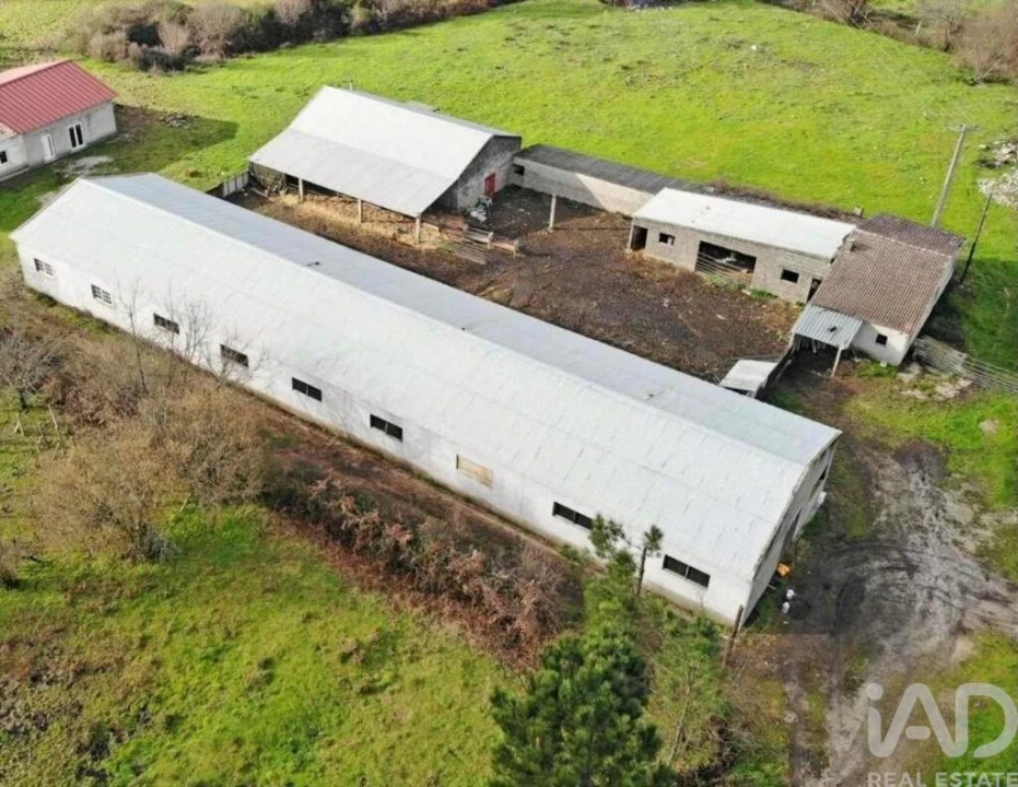 Quinta T2 para Venda em Quintela de Azurara Foto 16