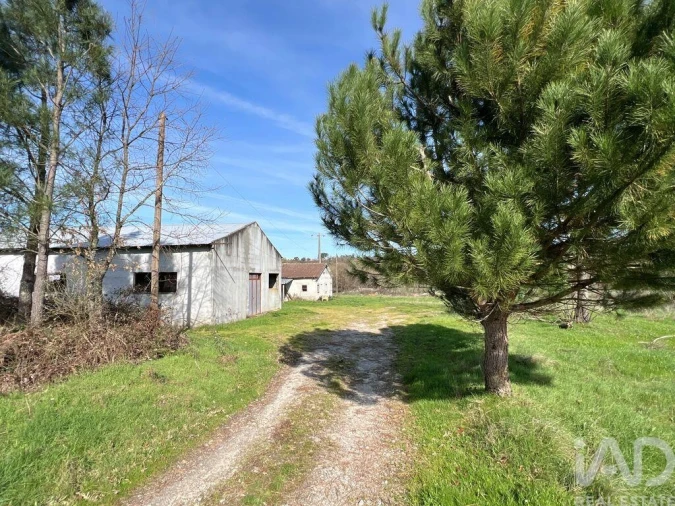 Quinta T2 para Venda em Quintela de Azurara Foto 2