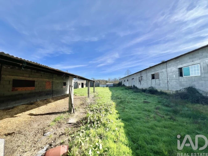 Quinta T2 para Venda em Quintela de Azurara Foto 15