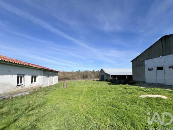 Quinta T2 para Venda em Quintela de Azurara Foto 13