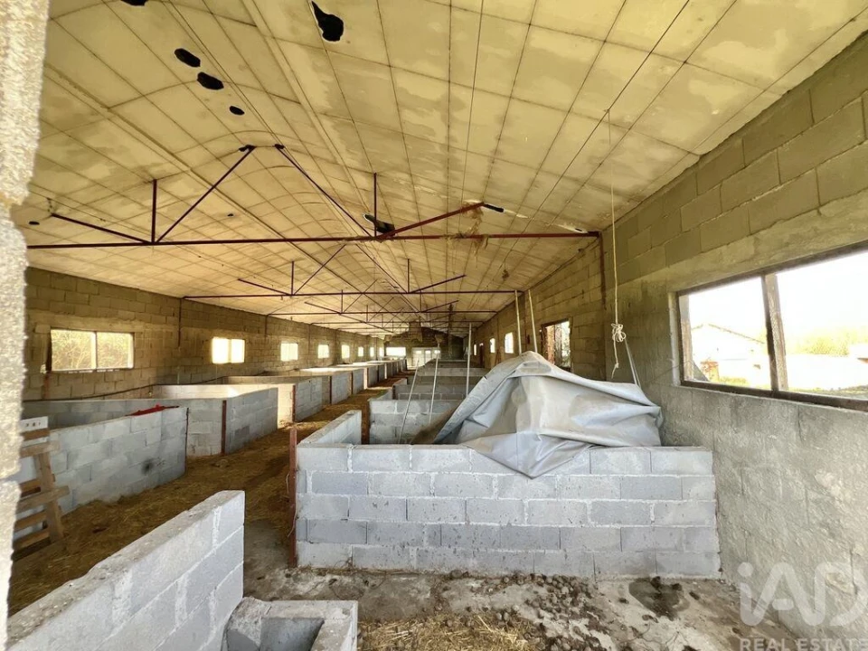 Quinta T2 para Venda em Quintela de Azurara Foto 9