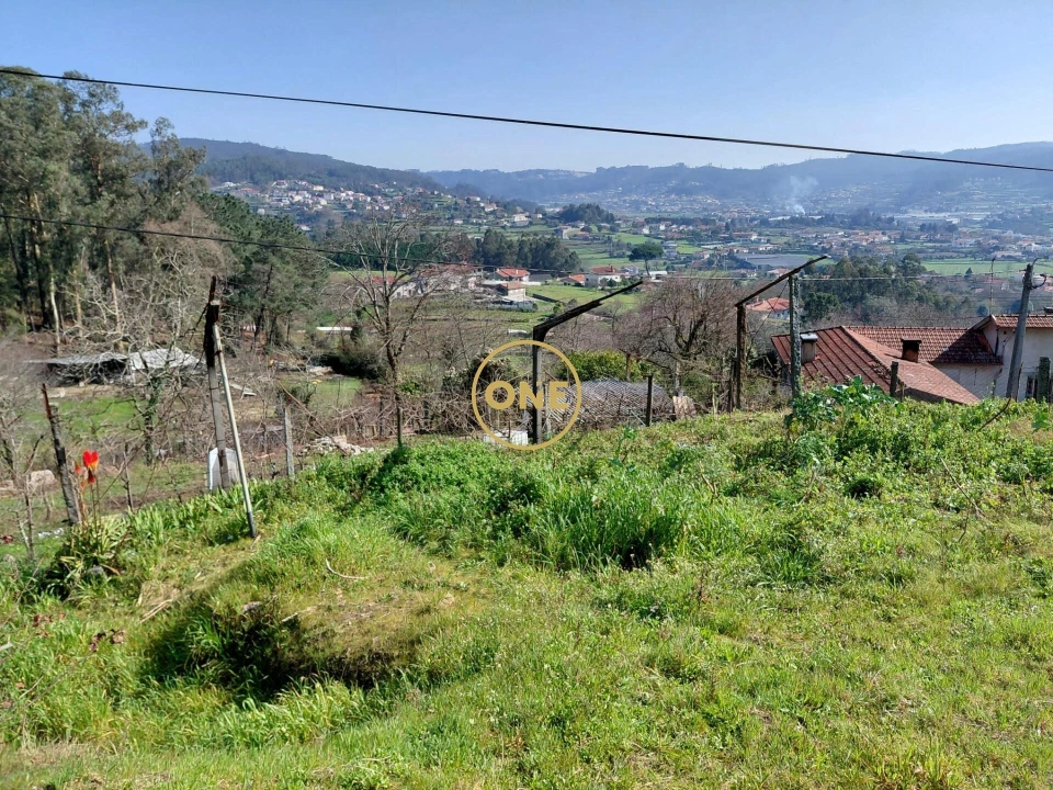 Terreno para Venda em Cruz Foto 7