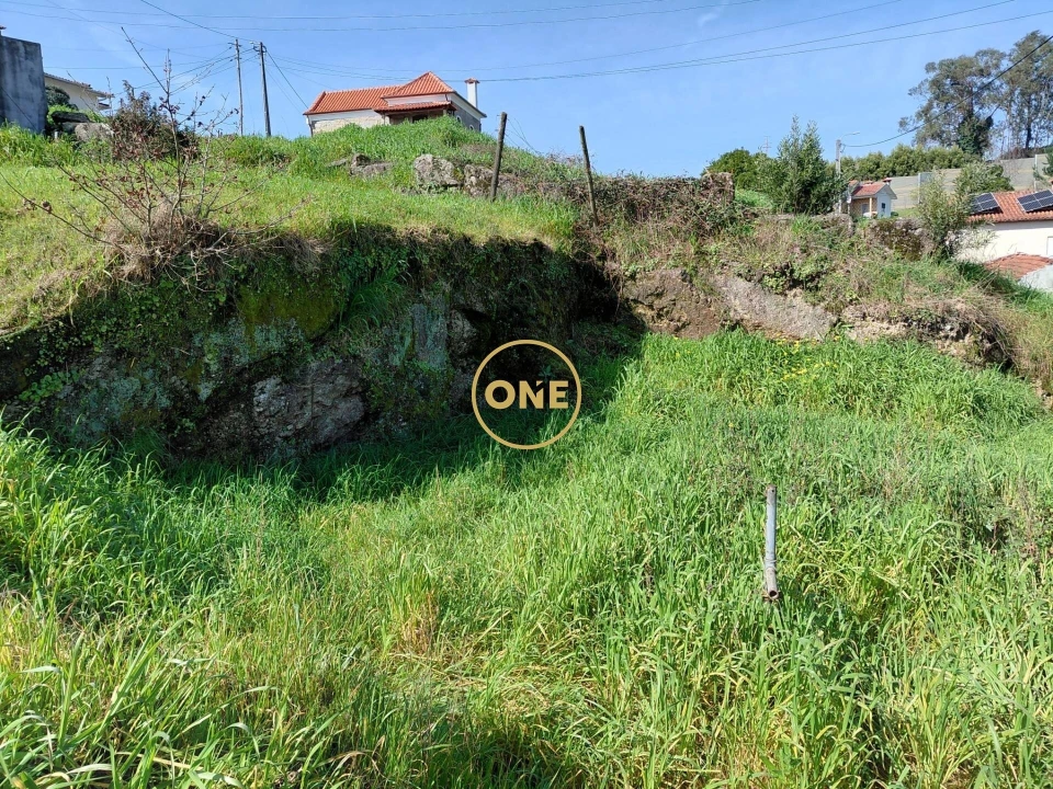 Terreno para Venda em Cruz Foto 4